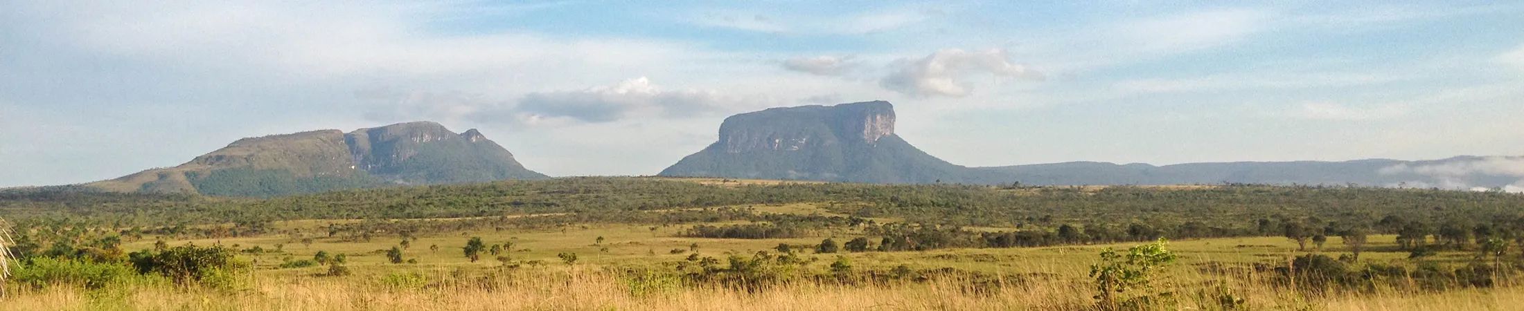 Sabana de Mayupa Panoramica de la Sabana de Mayupa con vista al Tepuy Kuravaina